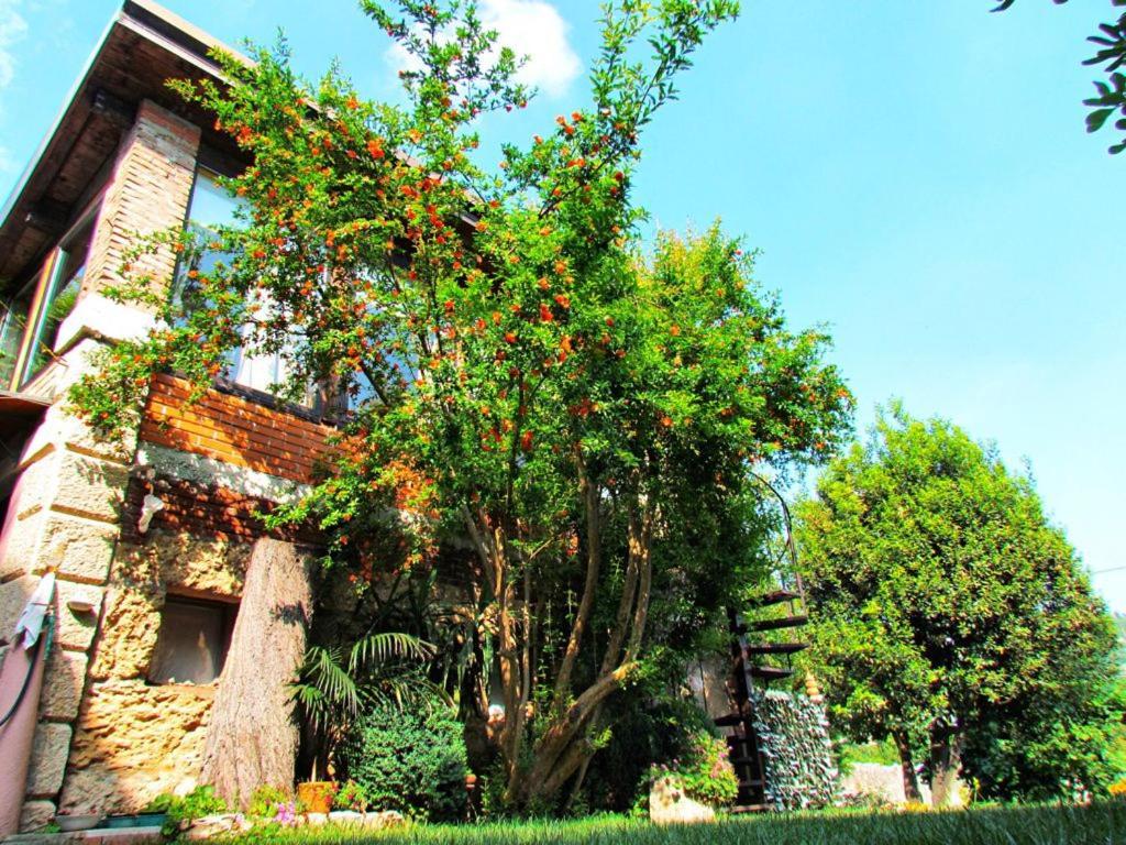 B&B La Piccionaia Verona Exterior foto